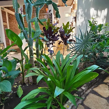 Mano A Mano Eco Hostal-3